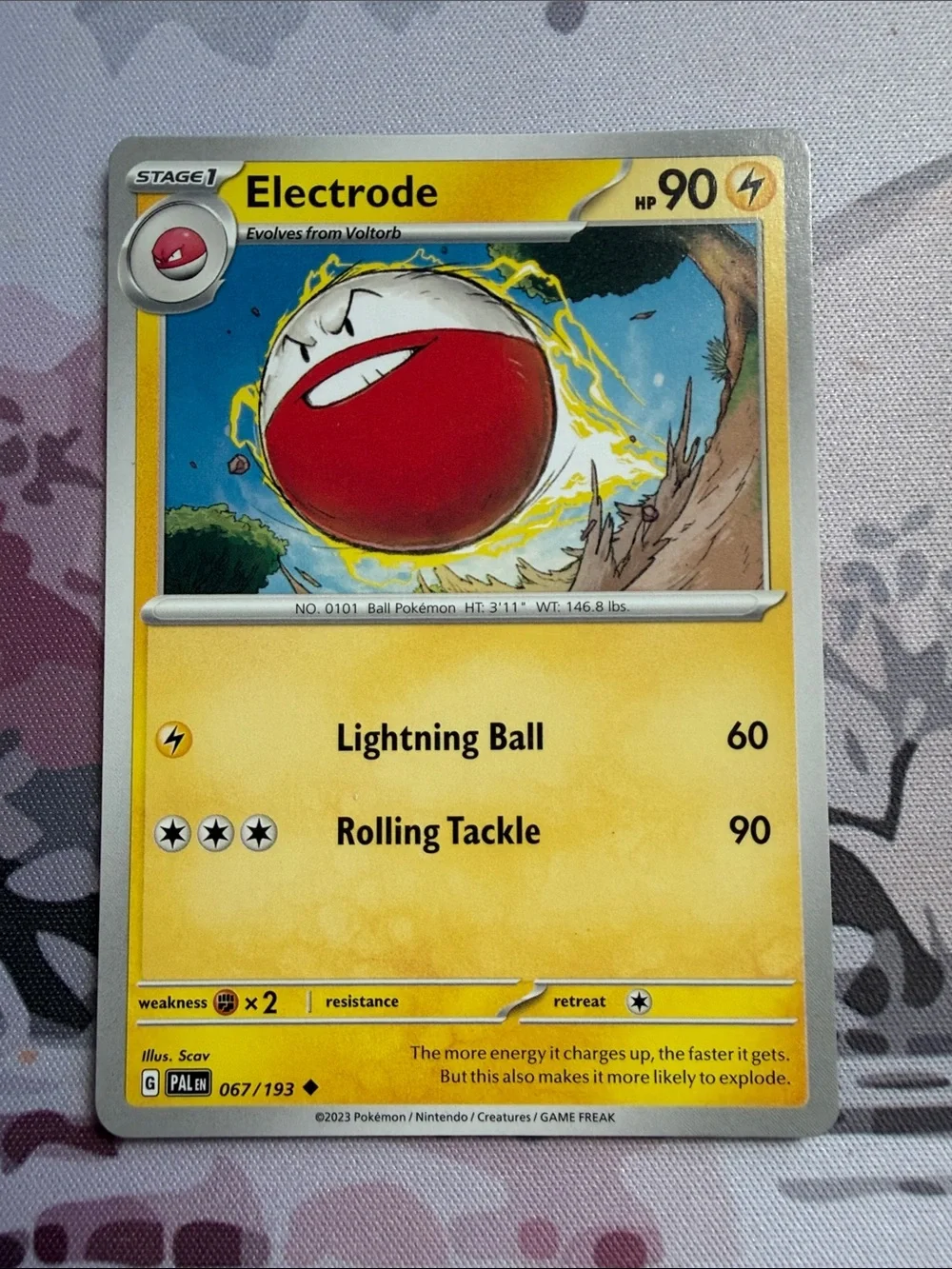 Voltorb & Electrode Evolution Collection Lot | 4 Pokémon Cards | ✨5/$25✨